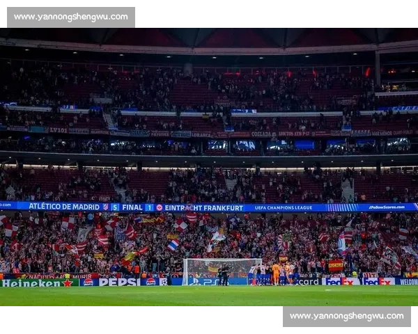 弗鲁米嫩塞主场迎战格雷米奥 巴甲强强对话焦点之战一触即发