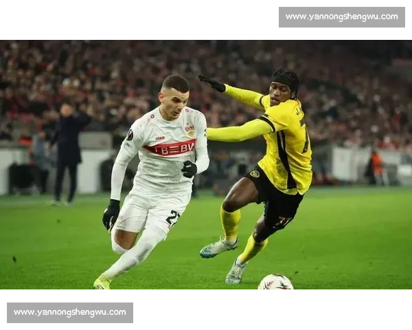 柏林赫塔迎战弗赖堡德甲焦点对决看点全解析赛前走势与战术博弈